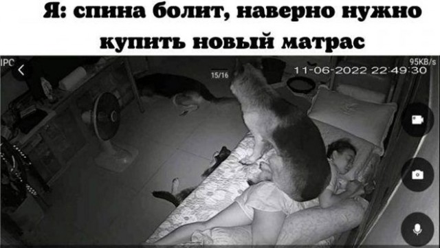 Так себе картинки 15.04.23