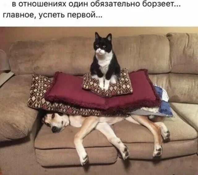 Немного картинок для настроения - 177