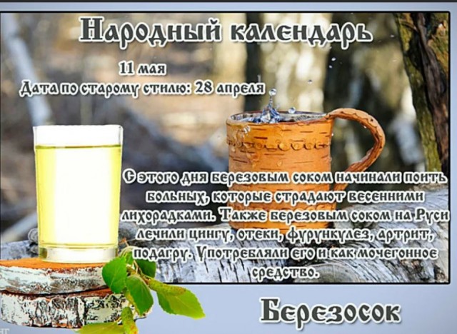 Победная поступь идиотизма по планете – том 14
