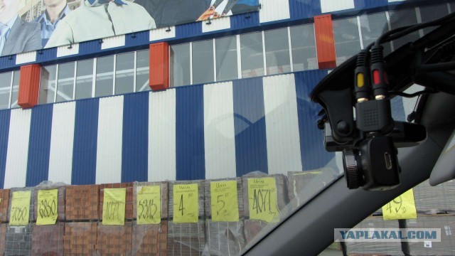 Крым в феврале или "Не стреляйте в белых лебедей!"