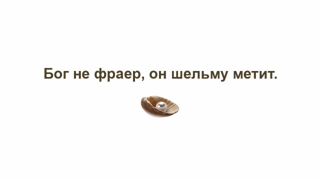 Канцлер Германии вновь появился на публике со шрамом на лице