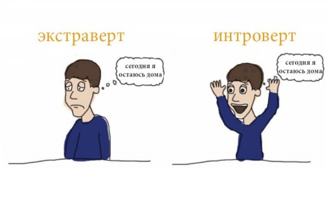 10 мифов об интровертах