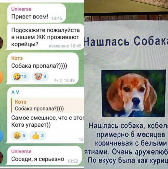 Забавные комментарии из социальных сетей (20.11.23)