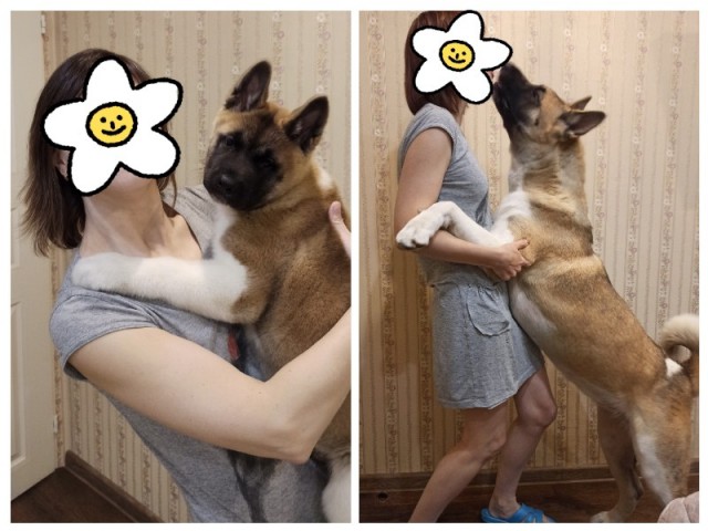 Эх, собакочетверг же