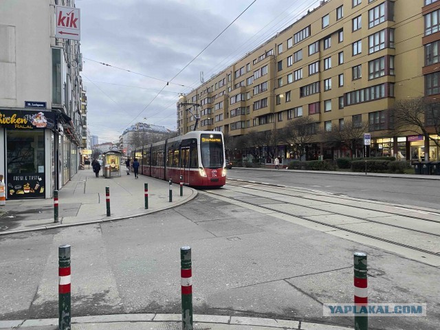 Прогулка по предновогодней Вене
