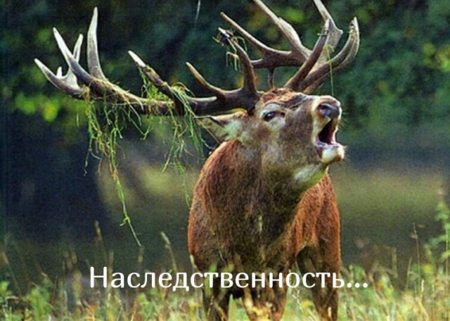 Белая женщина родила чернокожего ребенка. Тайна быстро была раскрыта