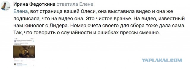 Побирушницы нажились на теракте в Крокусе