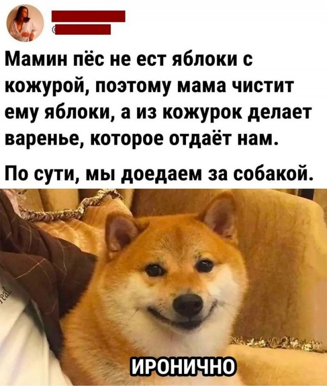 Завалялось тут случайно немного забавных картинок