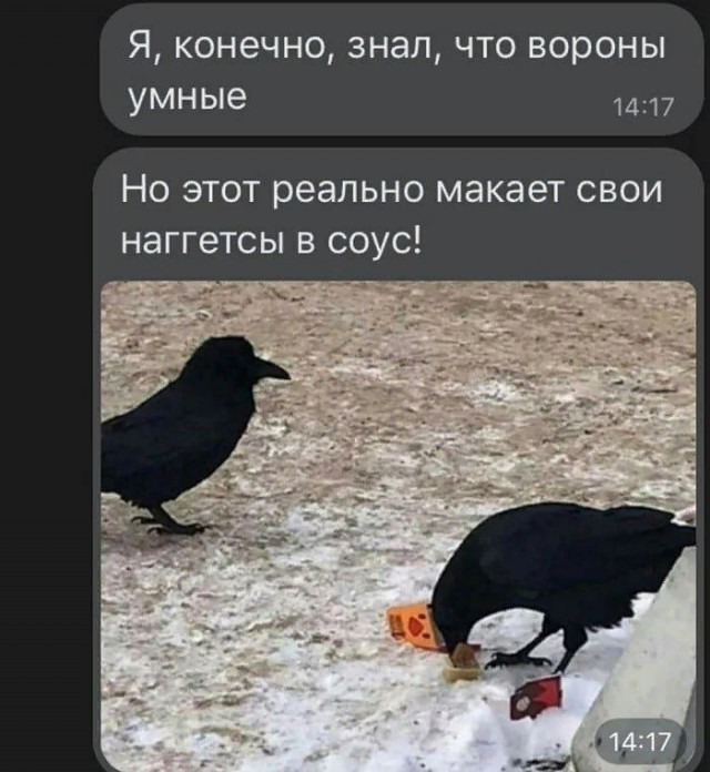 Никакие картинки