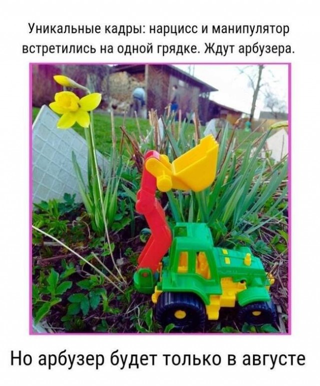Сборник бабаянов или неожиданная помойка от Неждалигады