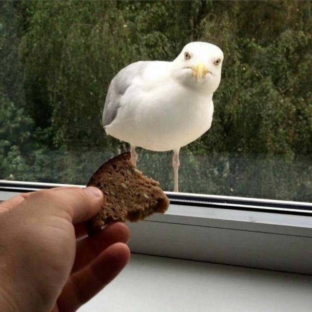 ФотоВинегрет