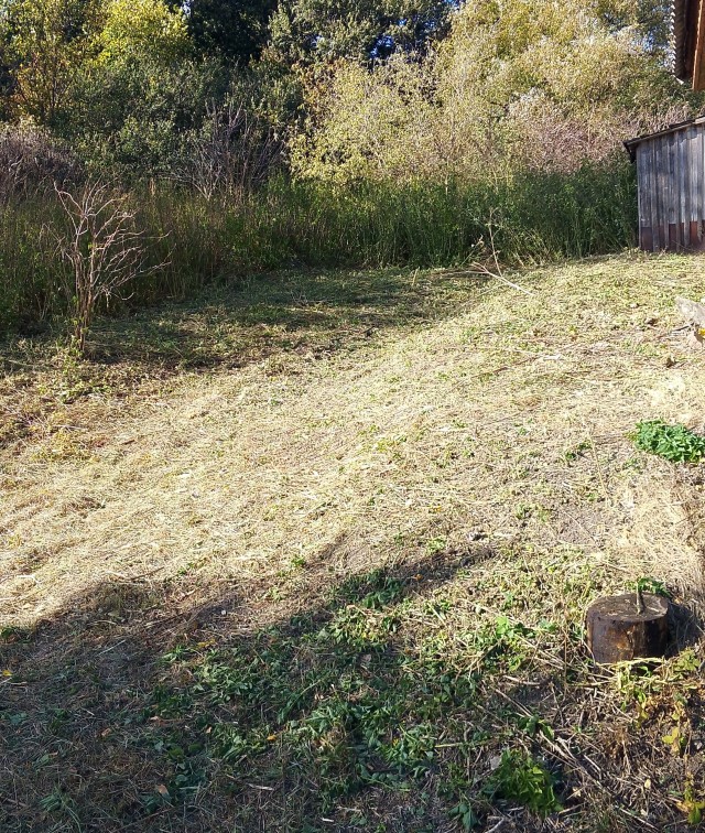 От сумы и тюрьмы не зарекайся...