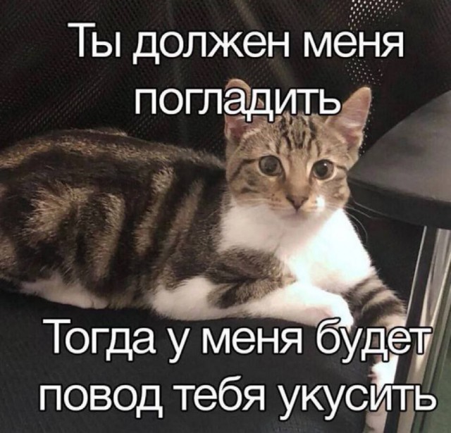 Всего понемногу. От 30.09.24