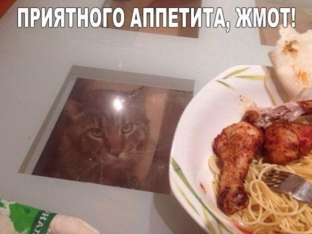 Кушоц!