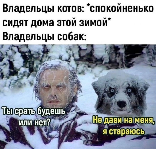 Веселые картинки в последний рабочий день уходящего года (28.12)