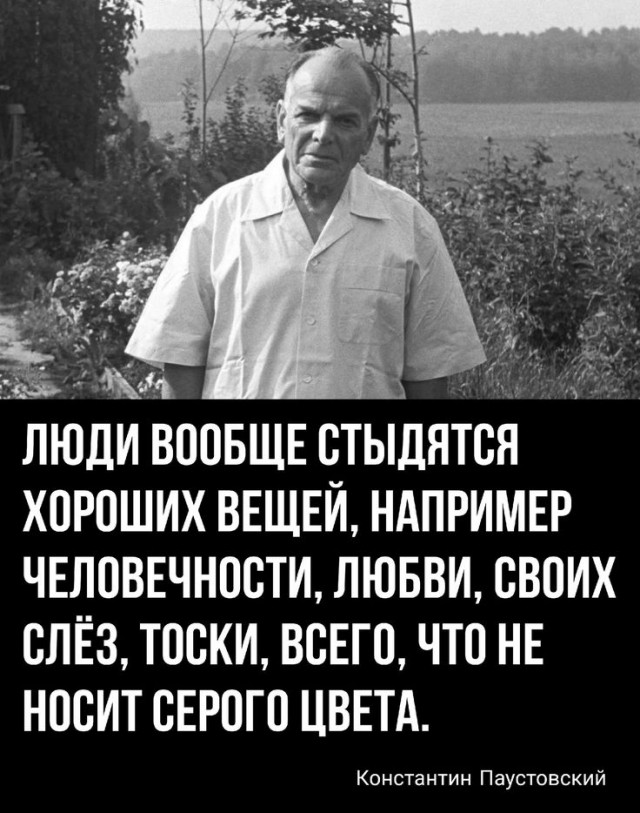Прикольные и просто красивые картинки 31.12.2024