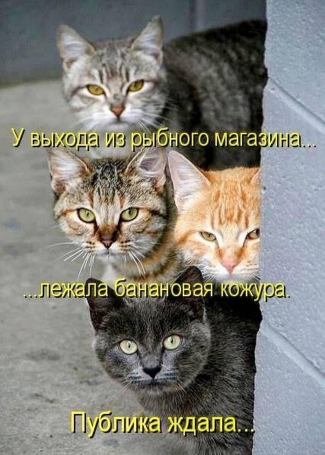Всего понемногу. От 06.02