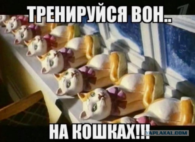 Радует глаз