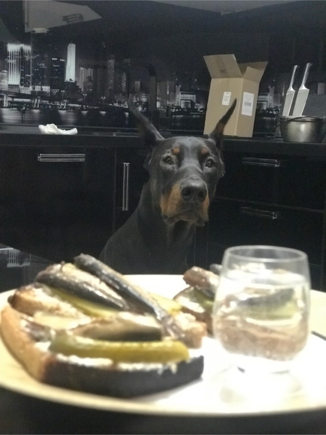 Всех с собакочетвергом!