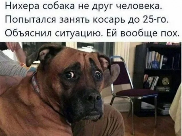 Так себе картинки 28.03.25