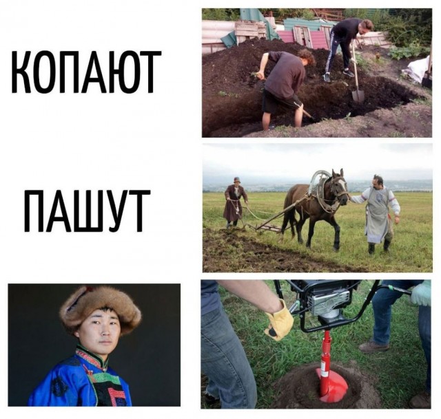 Юмор для тех, кто уже повзрослел и понял, что выходные — это миф