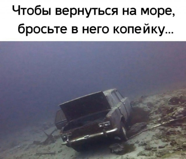 Юмор для тех, кто уже повзрослел и понял, что «спорт» — это бег за автобусом