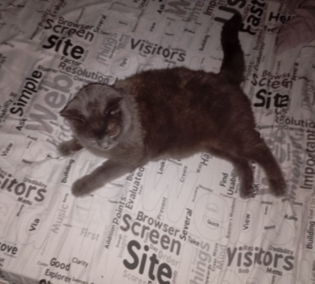 Кот...
