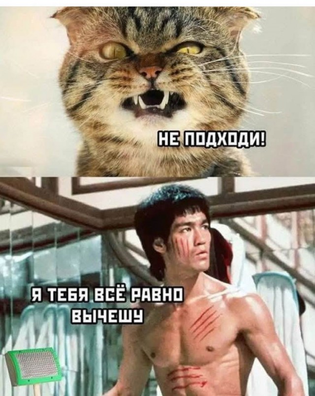 Картинки для деградации -2 (разной степени свежести)