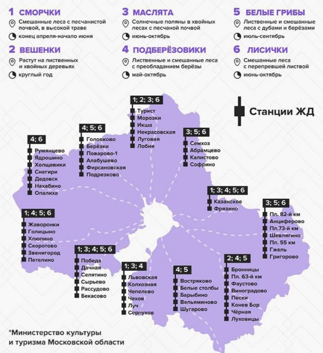 Важнейшие экономические новости: в лесах Сергиево-Посадского района грибники за 3 часа собрали 13,5 кг опят