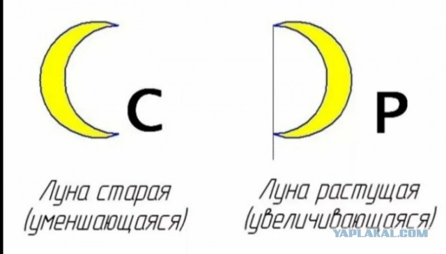 Фото дня для перфекционистов