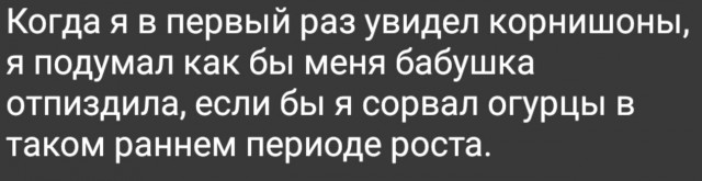 Забавные картинки, шутки из этих ваших интернетов