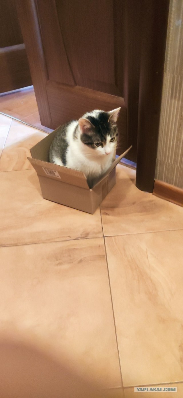 Кусочек тьмы.