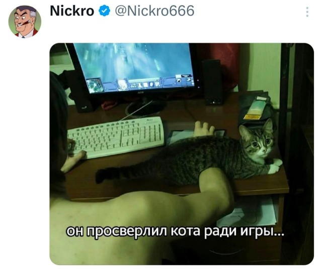Потная гамсахурдия №3 (Картинки)