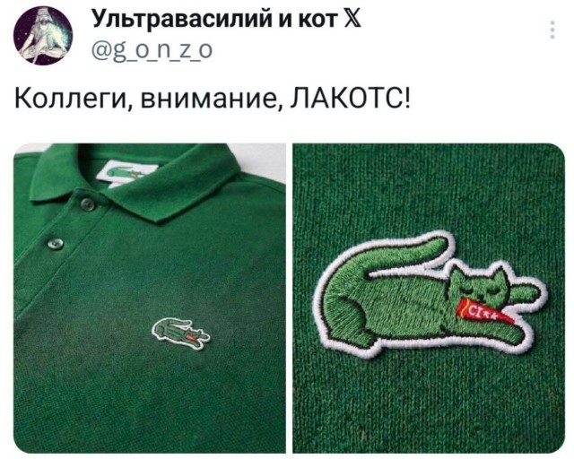 Одни кошки на уме