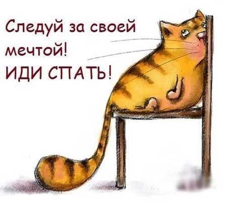Спокойной ночи.