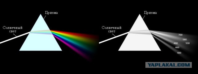 Реальность и ее восприятие