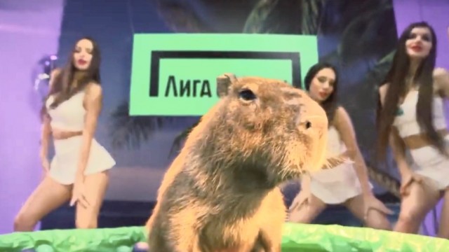 Москвичка разгадала двадцатисемилетнюю тайну