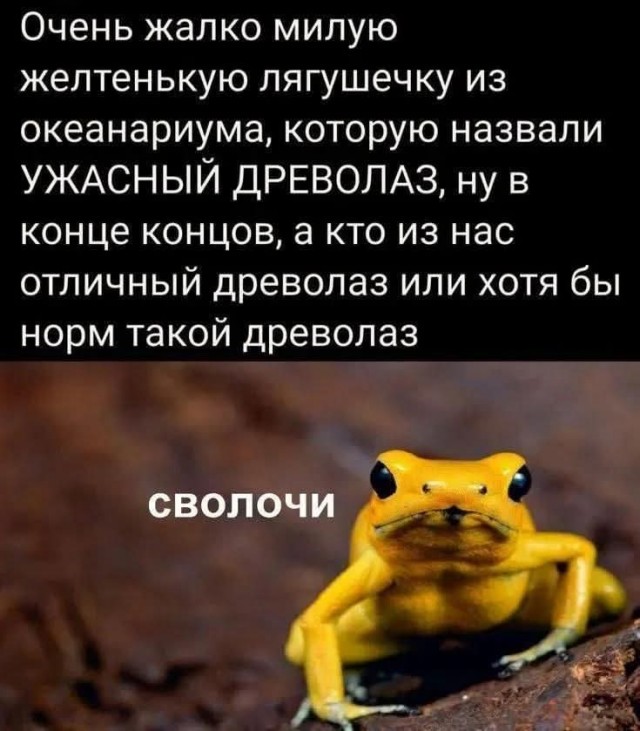Маленькая пятница