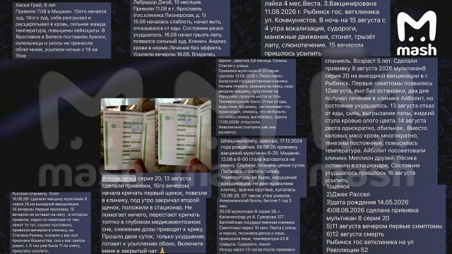 Сотни собак со всей России оказались при смерти после прививки от бешенства вакциной "Мультикан-8"
