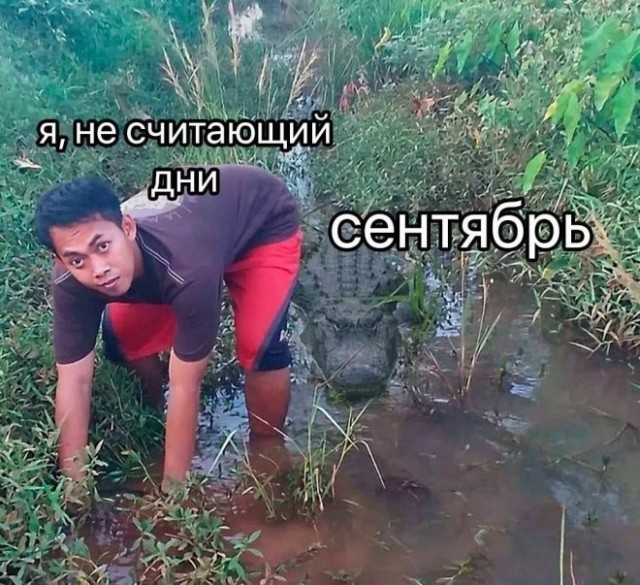 Картинки для деградации 258 ( разной степени свежести)