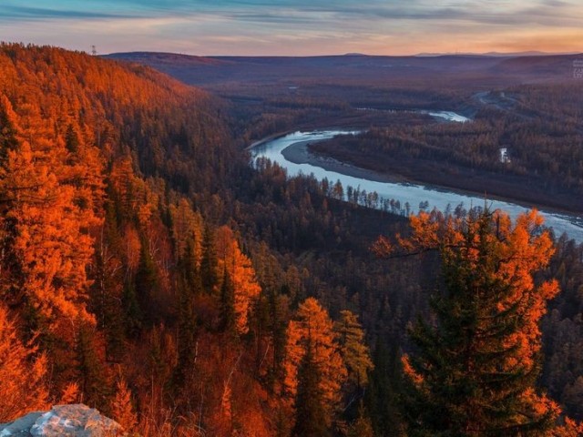 Осень в тайге