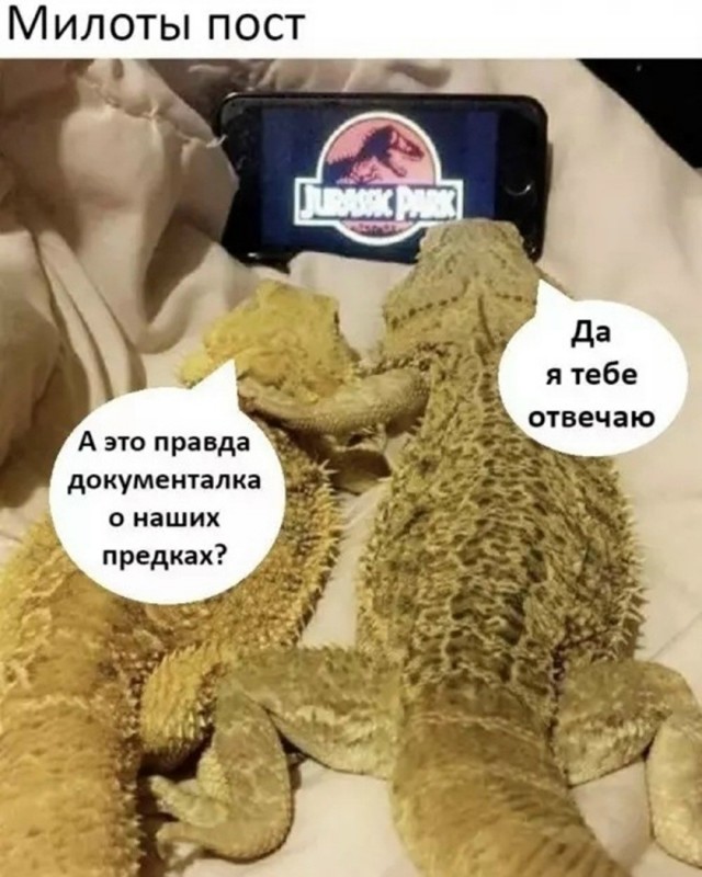 Так себе картинки 10.09.26
