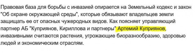 Владельцев дач предупредили о штрафах за желтый декоративный куст