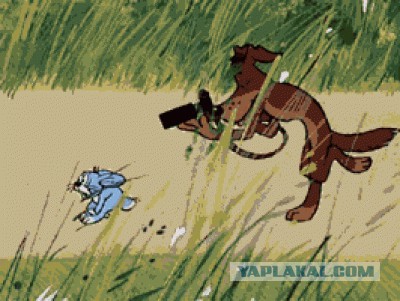 Олени!