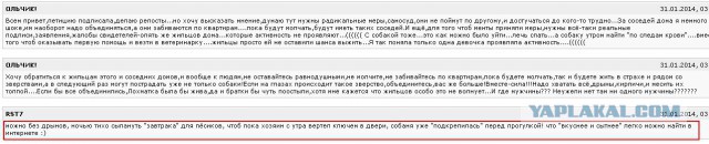 Поймали догхантера