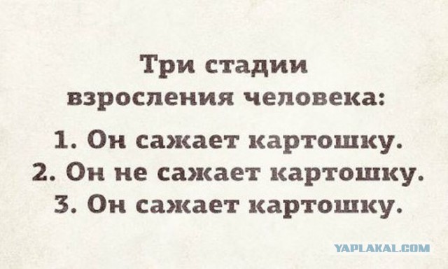 Смешные картинки