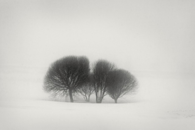 21 фотография для тех, кто понимает минимализм
