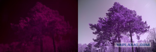 Советы начинающему фотографу наглядно