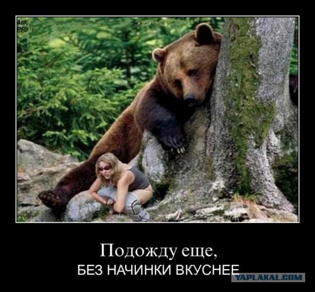 Картинки