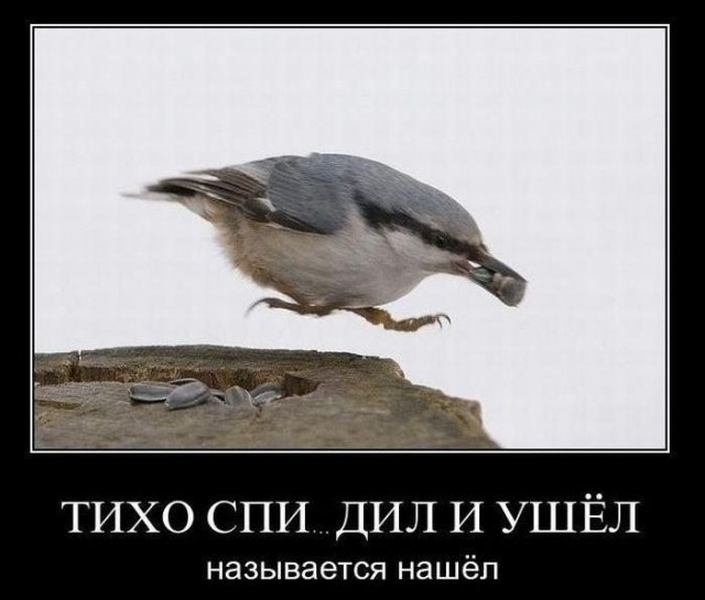 Абсурдный юмор ч.3